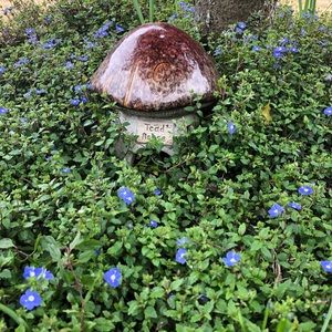 Meet your Posher, Pamela